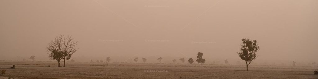 Monochromatic stock photograph of dust covered farm Australia. illustrating the types images available at  Stock Photos Australia

 