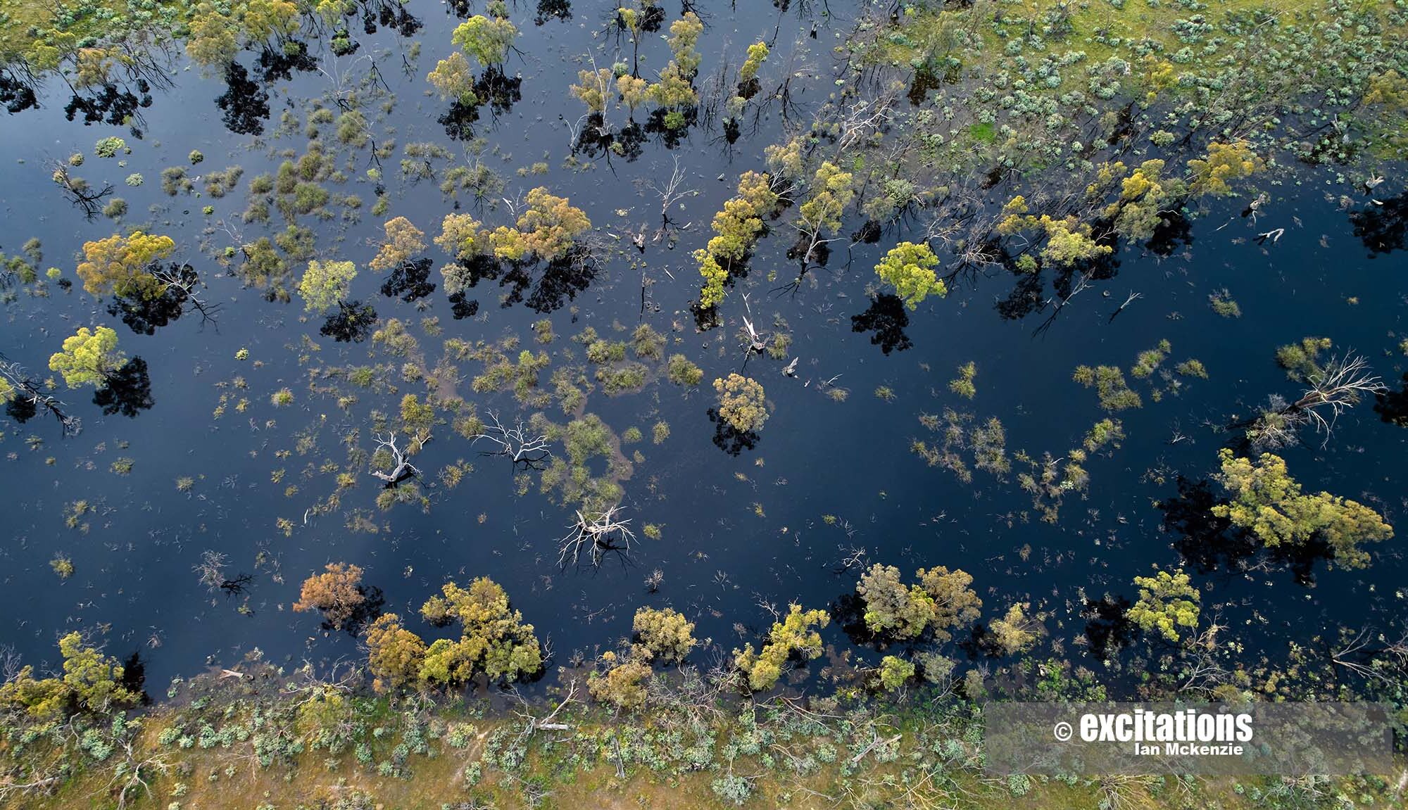Aerial flooded bushland, Murray Darling Basin